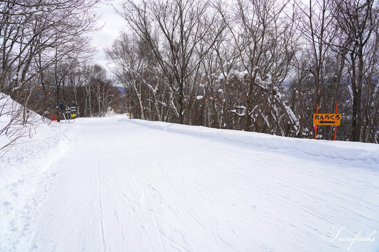 札幌藻岩山スキー場 ゲレンデの積雪は今季最深の125cm！コンディション良好で素晴らしいスキー日和に♪